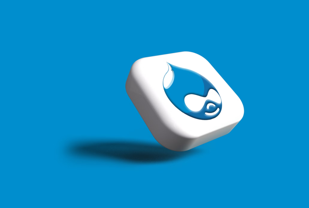 Tips and Tricks to Choose the Right Drupal Development Agency for Your Website development agency